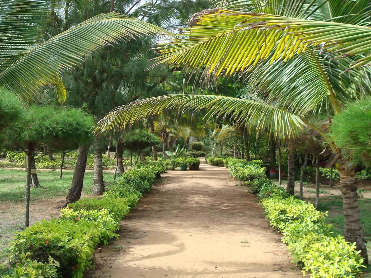 Hotel Village Vacances Awale Plage Grand-Popo Bagian luar foto